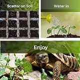 Garden Lawncare Guy Tortoise Grass Seed and Forage Mix 100g - Fast Growing view 6