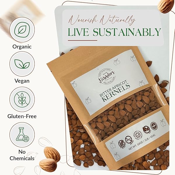 NUTRI NIBBLERS CERTIFIED ORGANIC BITTER APRICOT SEEDS 1LB FRESHLY PACKED BITTER APRICOT KERNELS ORGANIC RAW IN ECO-FRIENDLY RESEALABLE BAG VEGAN,NON-GMO,GLUTEN FREE – RICH IN VITAMIN B17 (AMYGDALIN)