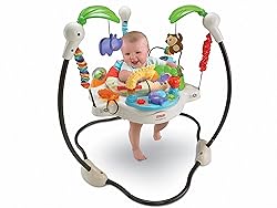 Fisher-Price Luv U Zoo Jumperoo, Infant Activity