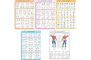 SPORTAXIS 5 Pack Laminated Workout Posters for Home Without Equipment Color Illustrations Bodyweight Basic Building Exercises Yoga Abs Training for Men and Women 18x27 Inches
