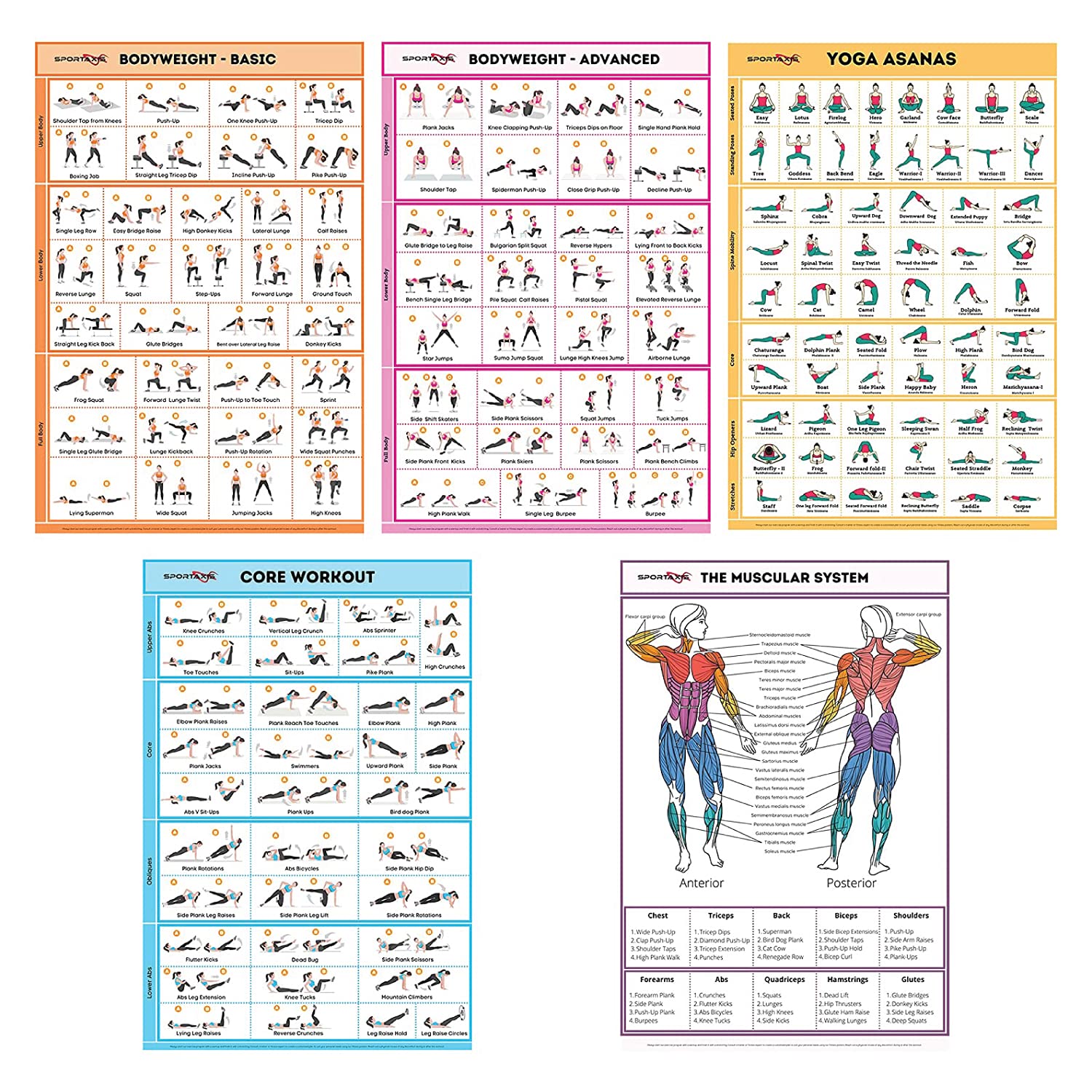 Photo 1 of SPORTAXIS 5 Pack Laminated Workout Posters for Home Without Equipment Color Illustrations Bodyweight Basic Building Exercises Yoga Abs Training for Men and Women 18x27 Inches