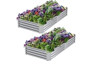 DERYONI Galvanized Raised Garden Bed Kit Outdoor 2pack,Planter Raised Beds 6x3x1ft for Gardening,Metal Garden Bed Planter Box for Flowers,Fruits,Vegega Raised Garden Bed