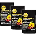 Miracle-Gro Performance Organics All Purpose Container Mix, Feeds for Up to 3 Months, For Container Gardening, 6 qt. (3-Pack)