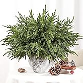 Alupssuc 18 Inch Norfolk Pine Stems, 12 Pcs Real Touch Norfolk Pine Branch, Christmas Greenery Stems for Vase DIY/Garland Making/Table Decoration, Christmas Decoration for Indoor, Outdoor & Home