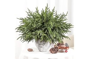 Alupssuc 18 Inch Norfolk Pine Stems, 12 Pcs Real Touch Norfolk Pine Branch, Christmas Greenery Stems for Vase DIY/Garland Making/Table Decoration, Christmas Decoration for Indoor, Outdoor & Home
