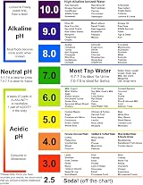 Just Fitter pH Test Strips for Saliva Urine 125 Strips Accurate Results view 9