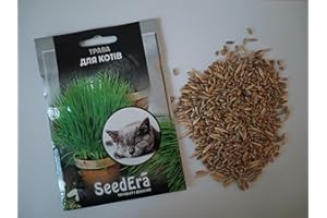 SeedsUP - 100+ Seeds Grass for Cat Pet Greens - Grass Green