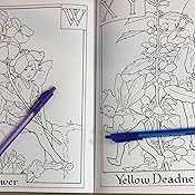 Amazon Com Flower Fairies Alphabet Coloring Book