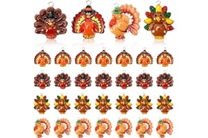 Augshy 64 Pcs Fall Thanksgiving Turkey Charms Mini Resin Turkey Charm Beads Turkey Pendant Ornament for DIY Bracelet Necklace Jewelry Making