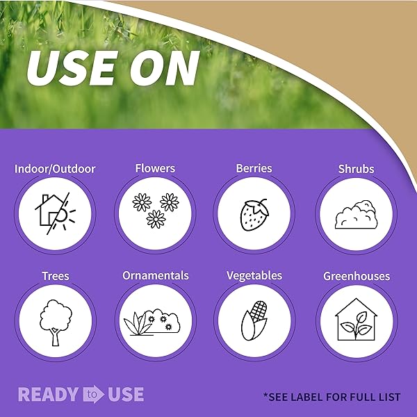 BONIDE INSECTICIDAL SOAP, 32 OZ READY-TO-USE SPRAY MULTI-PURPOSE INSECT CONTROL FOR ORGANIC GARDENING INDOOR AND OUTDOOR