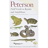 Peterson Field Guide to Reptiles and Amphibians of Eastern and Central North America, Fourth Edition (Peterson Field Guides)