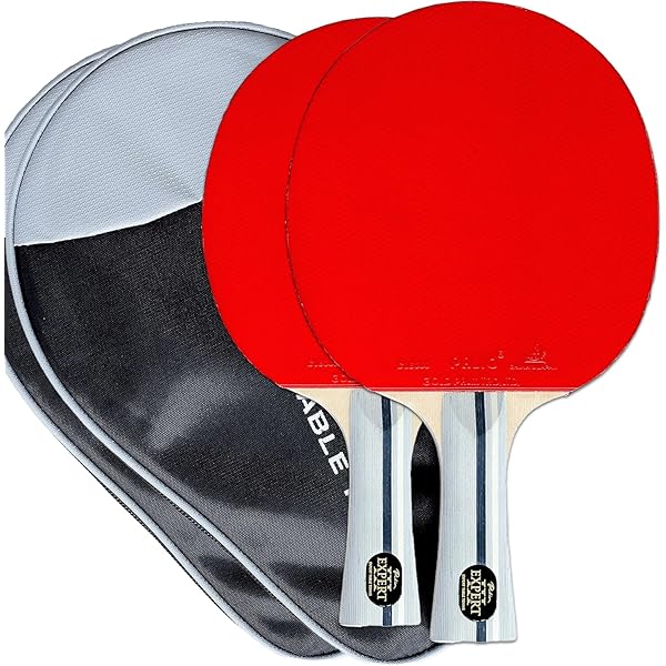 Palio Legend 2.0 Table Tennis Racket - ITTF Approved Advanced Paddle For Max Power & Spin