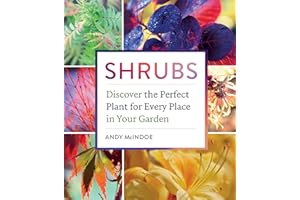 Shrubs: Discover the Perfect Plant for Every Place in Your Garden