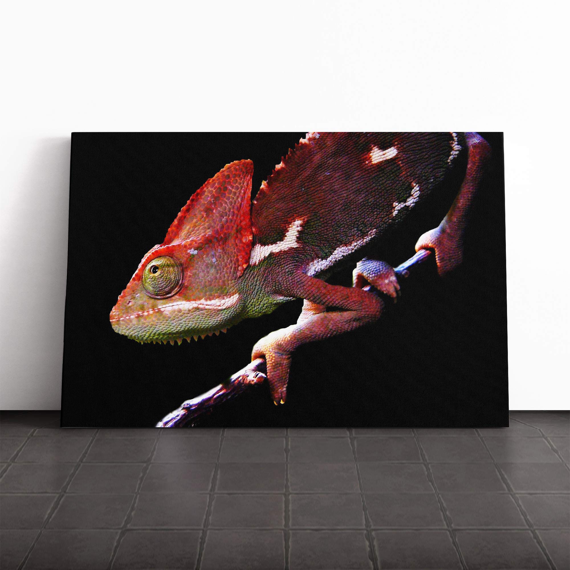 Chameleon Lizard (3) Canvas Print | Gallery Wrapped 30mm Frame Wall Art | 20x14 inches | Ready to Hang | Modern Animals Picture | Living Room Bedroom Lounge Office