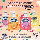 Carex Cherry On Top Antibacterial Handwash 6x250ml Brand CAREX view 5