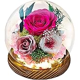 ERYRYIREI Preserved Real Rose Gifts for Her- Red Forever Rose in Glass Dome with LED for Women Mom Girlfriend Grandma Wife Birthday Mother's Day Christmas Valentines Day Gifts