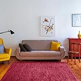 YUFANUHO Ultra Soft Shaggy Area Rugs, 3x5 Feet Wine Rug for Bedroom Living Room, Shag Fluffy Fuzzy Area Rug for Nursery Home 