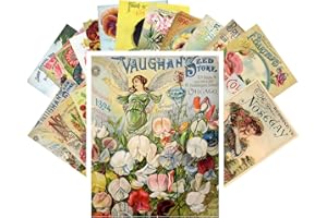 PIXILUV Vintage PostCards 24 pcs Flowers Vintage with Gardens Pansies