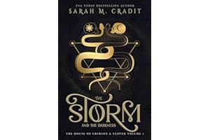 The Storm and the Darkness: A New Orleans Witches Family Saga (The House of Crimson and Clover Book 1)