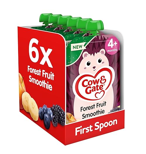 Cow & Gate Fruit Pouch Forest Fruit Baby Food Snacks, 4+ Months, 100g (Pack of 6)