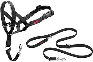 COMPANY OF ANIMALS HALTI Headcollar Size 4, Black & HALTI Training Leash Size Large, Black Combination Pack - Stop Your Dog Pulling on the Leash. Adjustable, Lightweight with Padded Nose Band. Suitable for Large Dogs