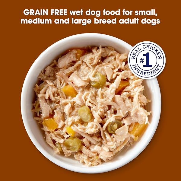 NATURE’S RECIPE GRAIN FREE WET DOG FOOD, CHICKEN & TURKEY RECIPE, 2.75 OUNCE CUP (PACK OF 12)