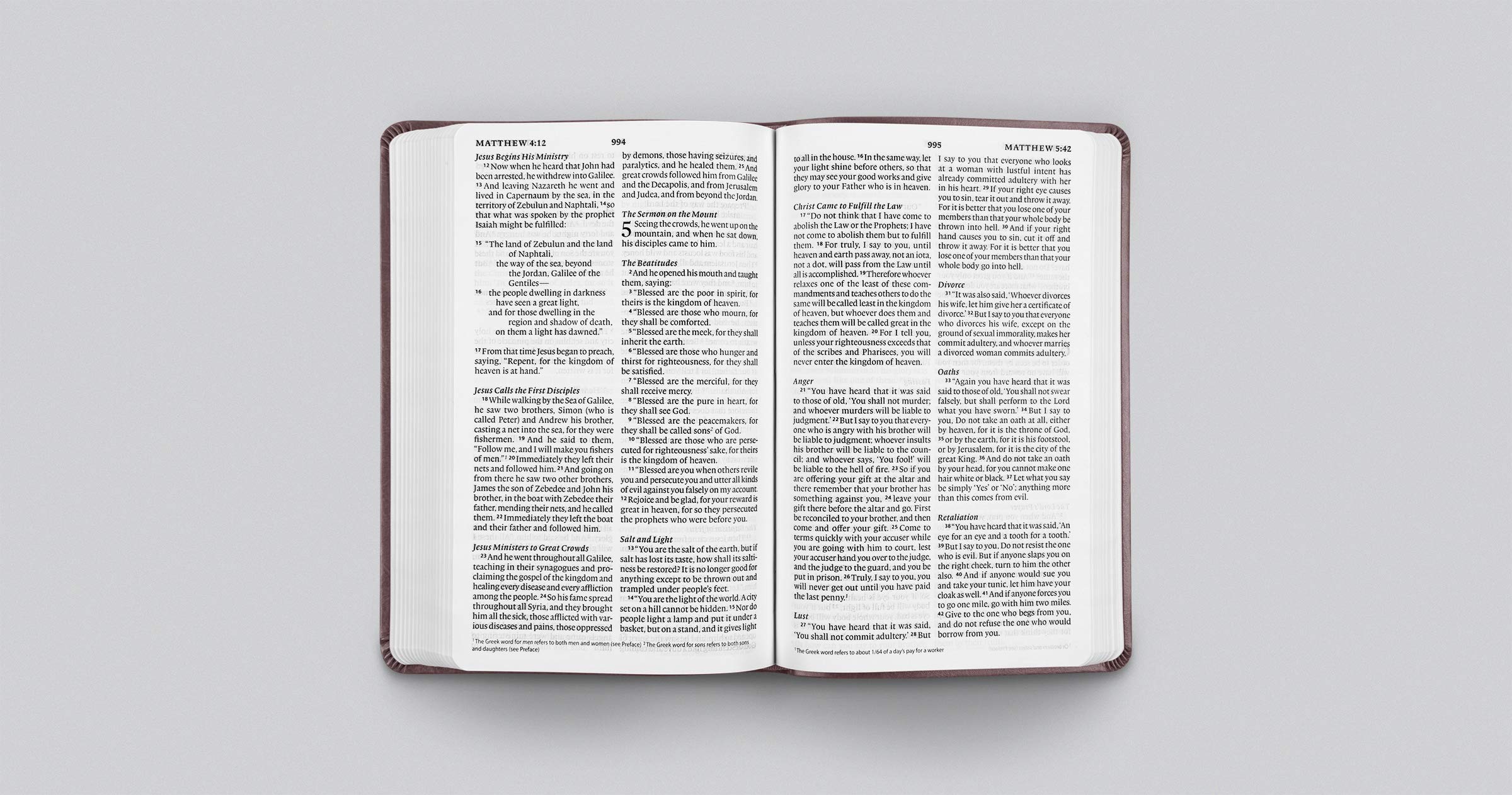 ESV Large Print Value Thinline Bible (TruTone, Mahogany, Border Design)