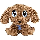 rescue runts husky amazon