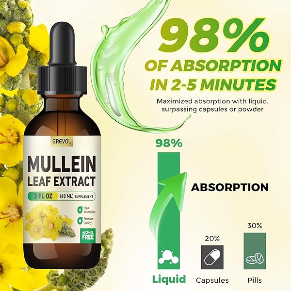 GREVOL MULLEIN DROPS FOR LUNGS, ORGANIC MULLEIN LEAF EXTRACT FOR LUNGS DETOX WITH CHLOROPHYLL HERBAL SUPPLEMENT, MULLEIN TINCTURE FOR RESPIRATORY& IMMUNE SUPPORT, NON-GMO VEGAN, 2 FL OZ