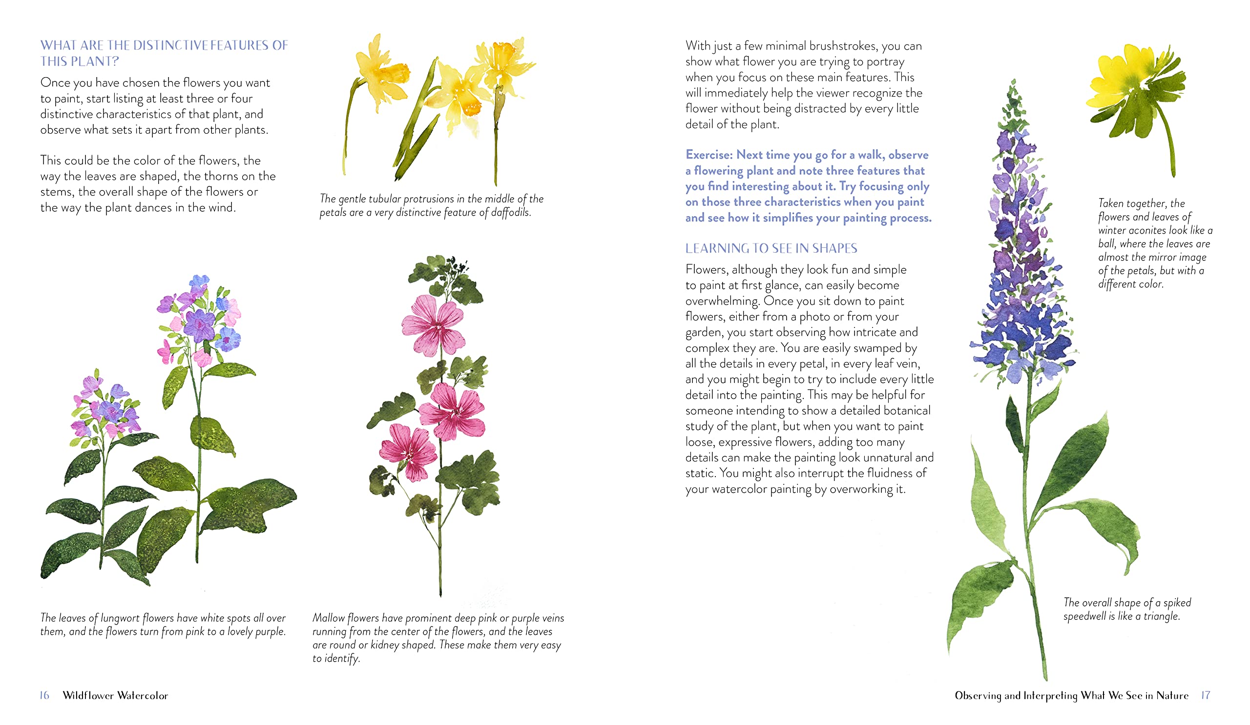 Wildflower Watercolor: The Beginner’s Guide to Painting Beautiful Florals Wildflower Watercolor: The Beginner’s Guide to Painting Beautiful Florals Paperback Kindle Spiral-bound