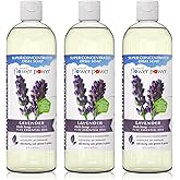 Natural Flower Power Liquid Dish Soap | Lavender 16 Fl Oz | Pack of 3 | Plant-Based & Scented w/ Pure Essential Oils | Natural Liquid Dishwashing Detergent | Sulfate-Free Kitchen Soap | Vegan