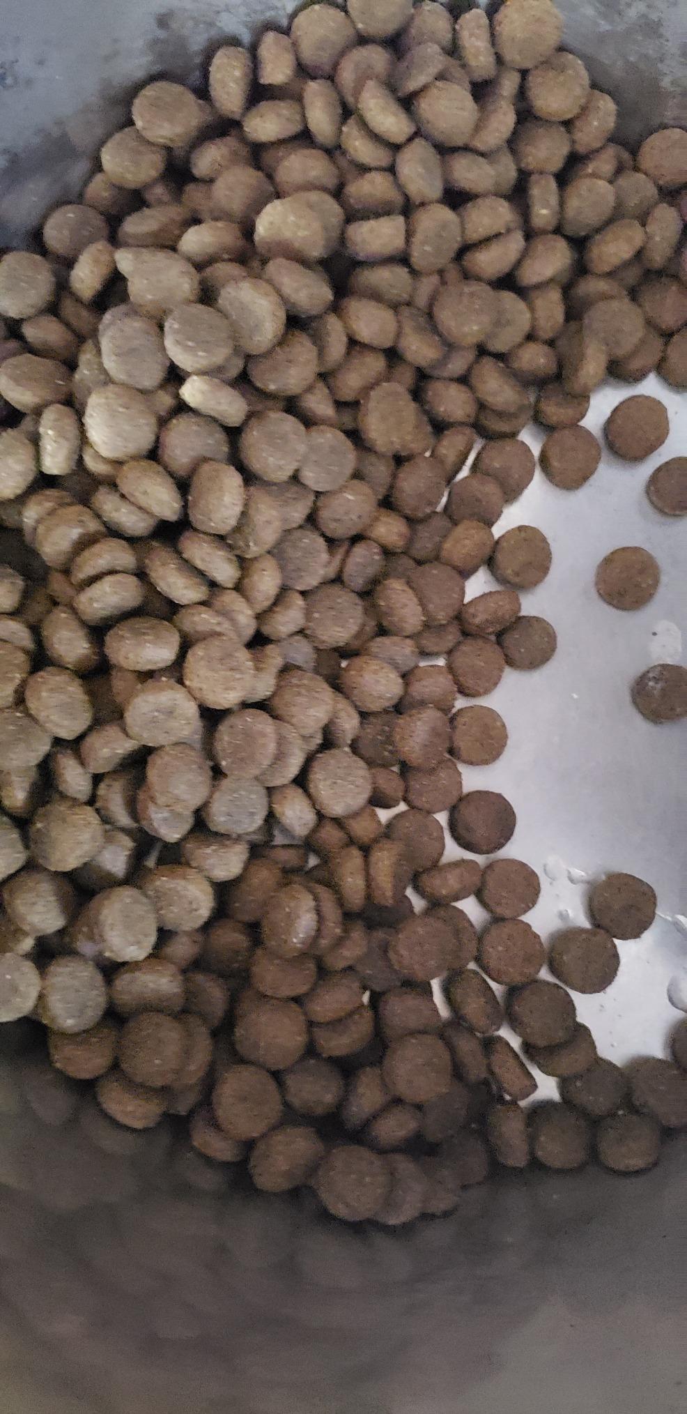 10/mo Finance VICTOR Super Premium Dog Food Purpose Senior