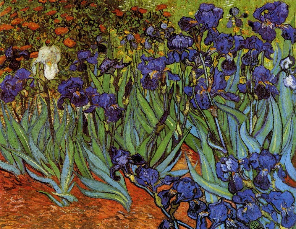 DOUBLETOP Irises- Vincent Van Gogh -1000 Piece Artwork Oil Painting Cardboard Jigsaw Puzzles for Adults Child Brain Teasers Toys Home Photo Frame Wall Decoration Puzzles Finished Size 50x70 cm