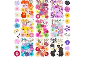 190Pcs Dried Pressed Flowers for Crafts,Xinxinran Dry Flower Kit for Resin Molds,Epoxy Resin Accessories,Bookmark,Nails, Jewelry Molds,Candle Making Supplies,Soap,Frame(Bright Color)