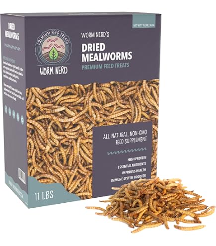 Do Superworms Need to Be Refrigerated: Essential Care Tips Revealed