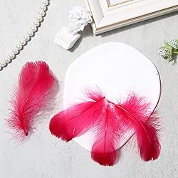 300pcs Wine Red Feathers 2-3 Inches Bulk Feathers