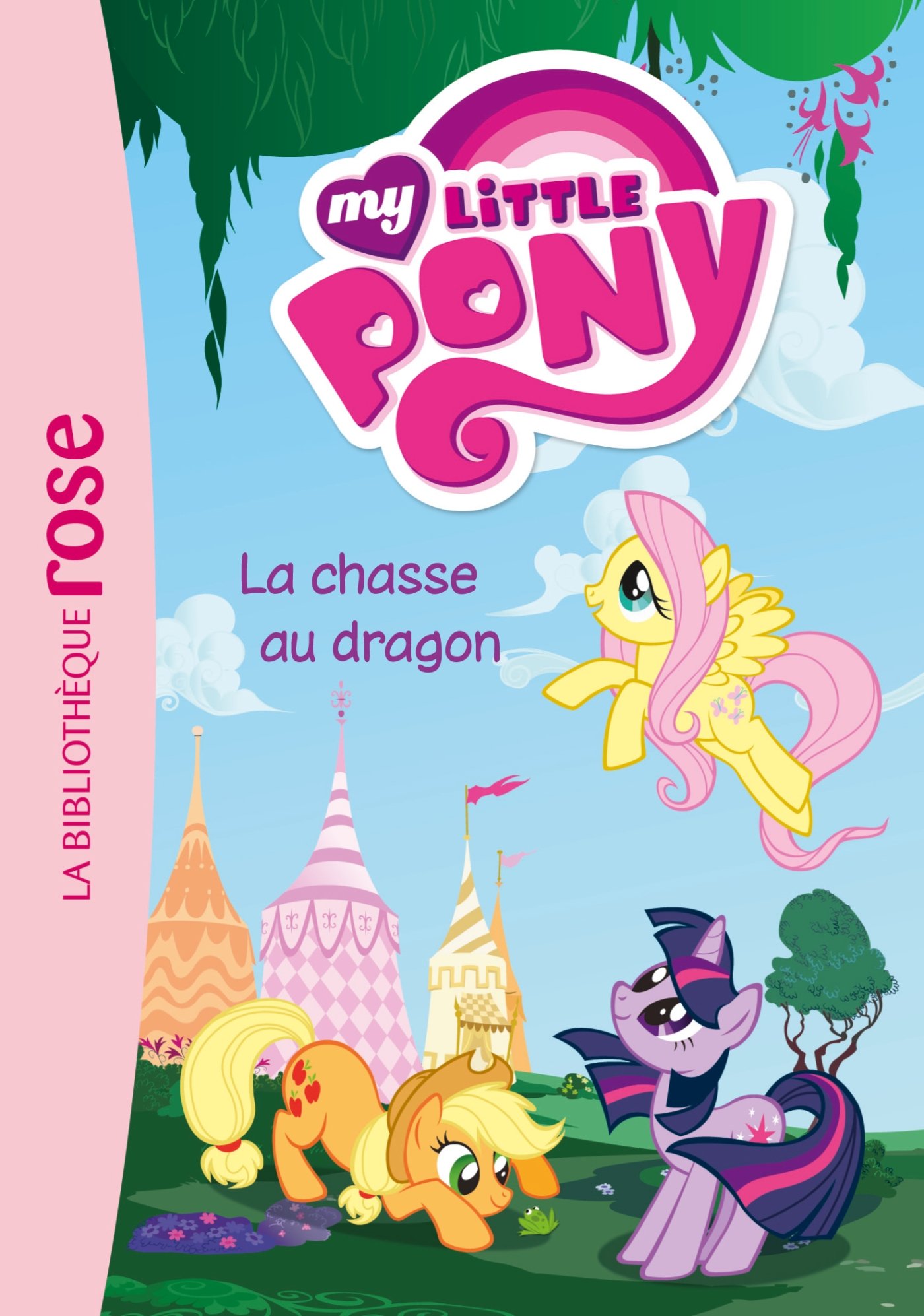 couverture de : La chasse au dragon