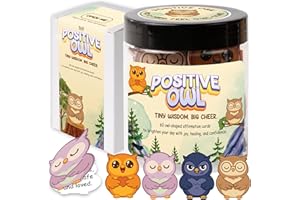 MIARITA Positive Owl Affirmation Jar, 60 Cute Owl-Shaped Cards for Positivity, Wisdom, Self-Care & Encouragement, Mental Health Gifts, Teacher Appreciation, Teen Girl Gifts, Inspirational Desk Decor