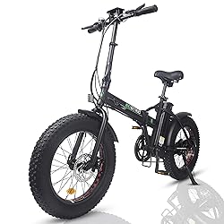 ECOTRIC Electric Foldable Bike Beach Snow Bicycle