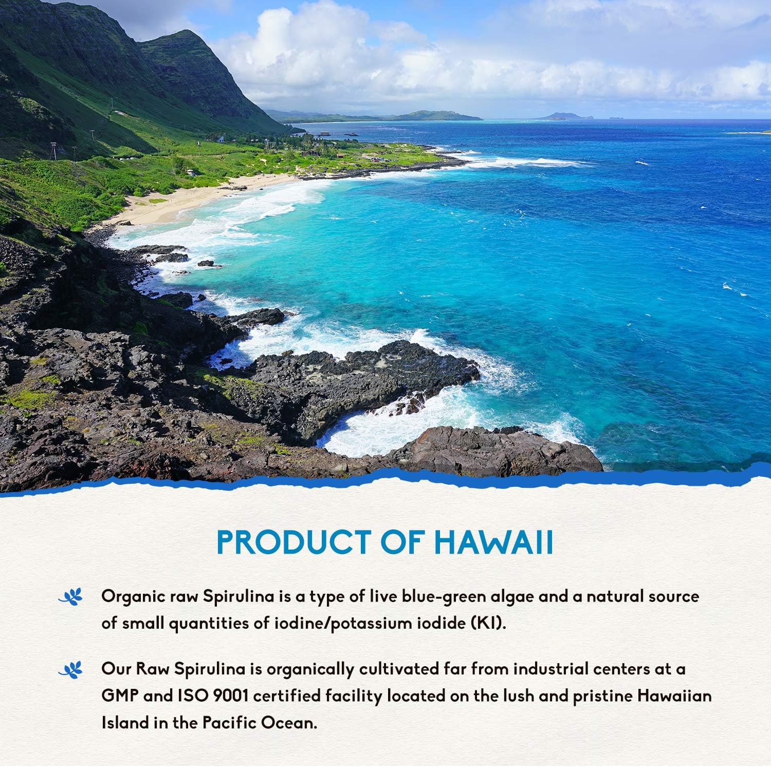 Hawaiian Blue Spirulina by Holistic Bin Non-Irradiated, Kosher, Vegan Superfood: Health & Personal Care