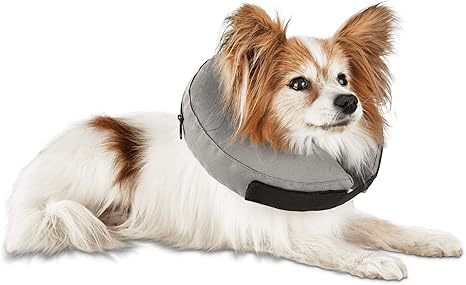 Well & good inflatable collar Clearance