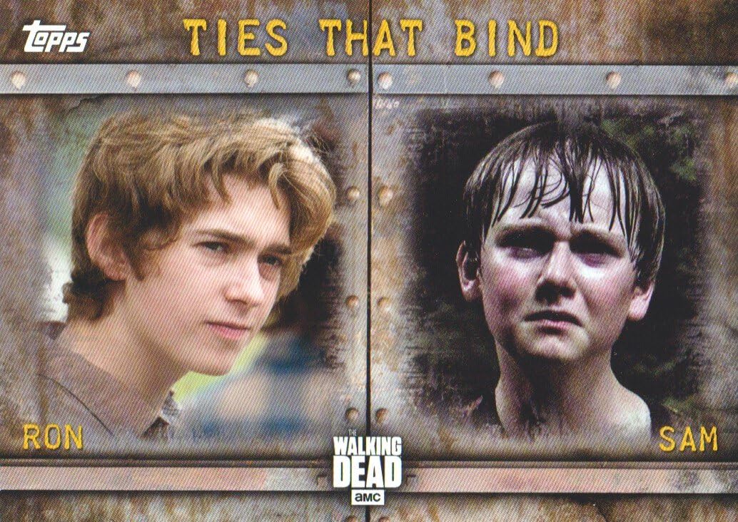 2017 The Walking Dead Season 6 Ties That Bind F5 Ron Anderson Sam Anderson At Amazon S Sports Collectibles Store