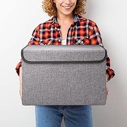 Bagnizer Large 17" 42 Quarts Collapsible Stackable