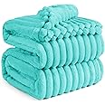 Bedsure Blue Full Blanket for Couch - GentleSoft Cozy Soft Blankets for Women, Cute Small Fleece Throws for Girls, Birthday Gifts for Women, Mothers Day Decor Gifts for Mom, Blue Fog, 84x90 Inches