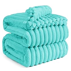 Bedsure Blue King Size Blanket for Bed - GentleSoft