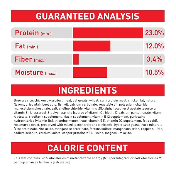 ROYAL CANIN SIZE HEALTH NUTRITION MEDIUM ADULT DRY DOG FOOD, 4 LB BAG