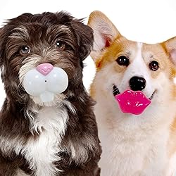 FOUFIT 85634 Paci-Chew Chew Toy for Dogs, Lips
