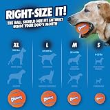 Chuckit! Tennis Ball Medium Pack of 4 Lightweight Dog Toy for Fetch view 7