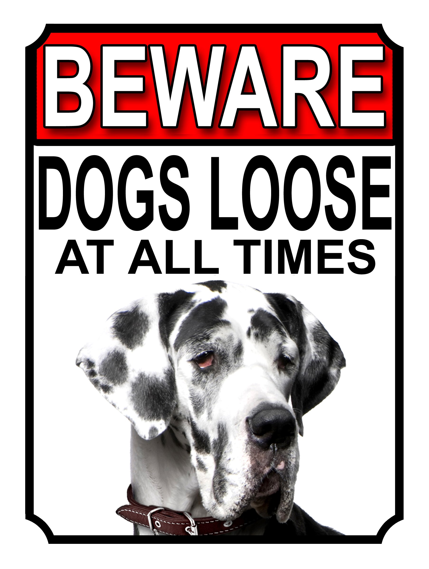 Shawprint Limited BEWARE DOGS LOOSE AT ALL TIMES METAL SIGN GREAT DANE 200MM X 150MM (1006H1) โ image 1