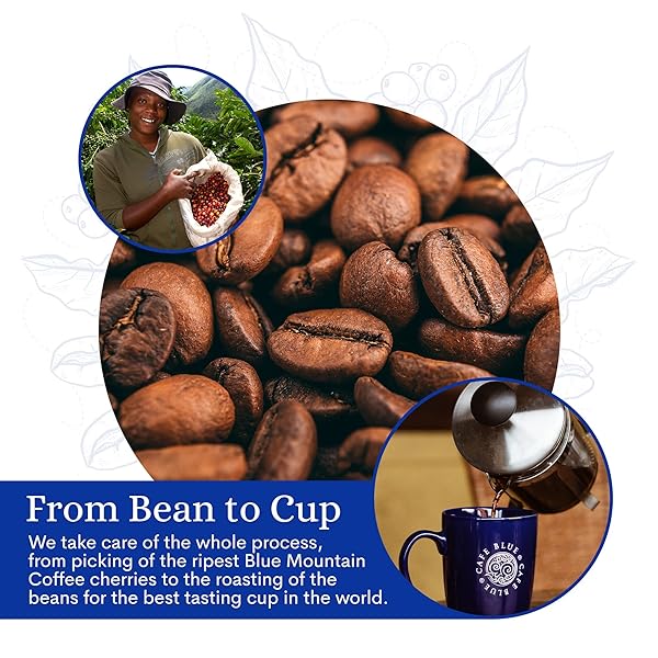 CAFE BLUE 100% JAMAICA BLUE MOUNTAIN COFFEE, MEDIUM ROAST, COFFEE PODS FOR HOT AND COLD BREW, 12 COUNT (PACK OF 1)